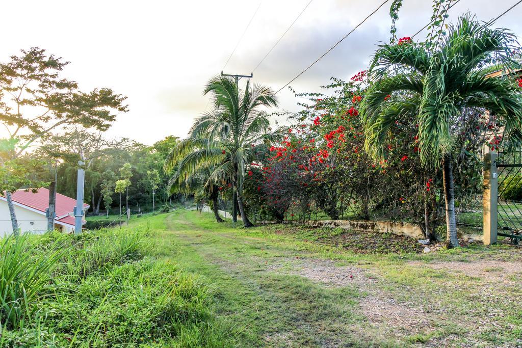 סן איגנאסיו Villa Maya מראה חיצוני תמונה